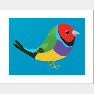 Cute gouldian finch Posters and Art